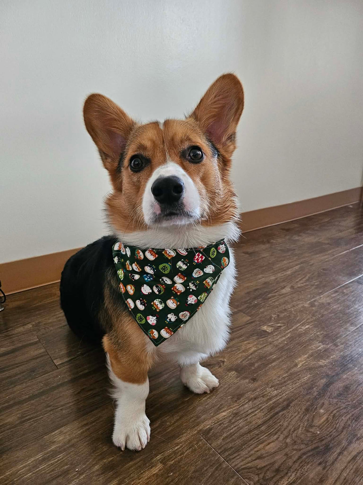 Medium Dog Bandana